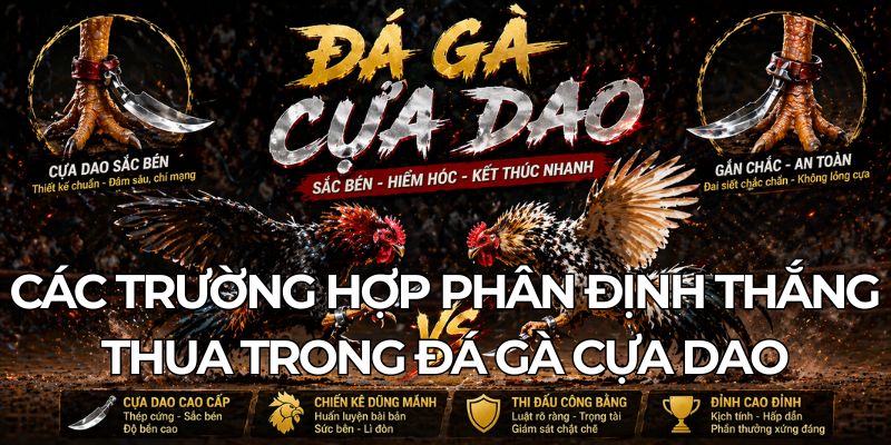 Các Trường Hợp Phân Định Thắng Thua Trong Đá Gà Cựa Dao