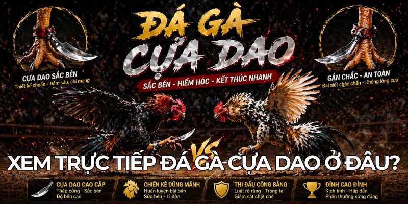 Xem Trực Tiếp Đá Gà Cựa Dao Ở Đâu?